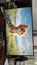飛利浦27英寸 LGD-IPS纖薄屏 四窄邊 全高清 120Hz 低藍(lán)光 HDMI+VGA 節(jié)能辦公顯示器 顯示屏 27E2N1110S 曬單實拍圖