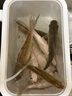 佳釣尼伏魔典藏五代魚(yú)竿超輕超硬釣魚(yú)竿手竿鯽鯉魚(yú)輕量綜合臺釣竿 4.5m 曬單實(shí)拍圖