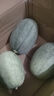 山東西州蜜哈密瓜 頭茬新鮮現(xiàn)摘網(wǎng)紋哈密瓜水果整箱 哈密瓜凈重8-9斤2-4個(gè) 曬單實(shí)拍圖