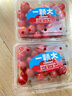 一顆大 櫻桃番茄 紅寶石櫻桃番茄粒 爆汁西紅柿凈重836g源頭直發(fā) 曬單實(shí)拍圖