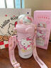 Hello Kitty保溫杯高顏值女士生日禮物2025新款學(xué)生316內(nèi)膽吸管水杯子保冷杯 K-hellokitty580ml(禮盒裝+傘) 曬單實拍圖