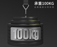 DONIUZ健身千斤棒小臂訓(xùn)練器臂力卷腕力鍛煉器材練臂手臂前臂肌肉扳手腕 【小臂訓(xùn)練器】不含杠鈴片 曬單實(shí)拍圖
