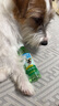 多美潔犬用漱口水狗狗口臭潔牙結(jié)石天然可食用清新口氣寵物狗狗天然清新口氣潔齒水 118ml 曬單實(shí)拍圖