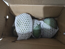 京覓四川凱特芒果新鮮水果凈重8斤單果410g+源頭直發(fā)包郵 曬單實拍圖
