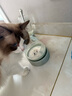 哆菲貓貓糧DoFeeCat全價無谷雞肉凍干主糧幼貓成貓糧0谷物保護尿道低敏 推薦【18% 雞肉凍干】1.6kg*2袋 曬單實拍圖
