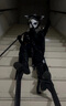 萬(wàn)華皇守夜人原皮cos服第五人格二次元動(dòng)漫游戲監管者cosplay表演服裝 面具 XXXL 曬單實(shí)拍圖