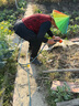 智匯充電式抽水泵澆菜神器澆水機農(nóng)用灌溉機澆菜地家用大功率抽水機 無刷雙電機鋰電抽水泵+13米水管 【續(xù)航持久】配置全面升級 曬單實拍圖