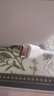綠聯(lián)Type-C數據線6A適用華為榮耀超級快充100W/88W/66W/40W充電線Pura80/70/Mate70小米安卓手機平板 曬單實拍圖