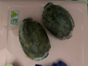 格沃斯湖北粉藕新鮮蓮藕洪湖藕九孔糯米藕煲湯粉藕現(xiàn)挖蓮藕 粉藕 1斤中段藕王 曬單實(shí)拍圖