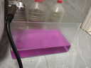 高清熱彎浮法透明玻璃魚缸客廳家用造景裝飾生態(tài)中小型生態(tài)金魚缸 熱彎魚缸-裸缸 長(zhǎng)40*寬23*高25cm 曬單實(shí)拍圖