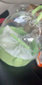 乖卷鸚鵡外帶籠玄風(fēng)虎皮背帶手提便攜遛鳥(niǎo)籠大空間透明鳥(niǎo)籠 清新綠 曬單實(shí)拍圖