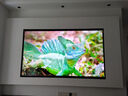 TCL電視 85Q9L Pro 85英寸 QD-Mini LED 蝶翼星曜屏 萬象分區(qū) 絢彩XDR4500nits 超薄 國家補貼20% Q9K 曬單實拍圖