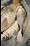 本諾釣魚傘萬向大釣傘防風(fēng)防暴雨傘釣魚拐杖傘漁具加厚防曬戶外遮陽傘 2.4#一口價【機械臂拐杖】黑紅 12棱防轉(zhuǎn)機械臂調(diào)節(jié) 曬單實拍圖