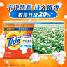 汰漬   TIDE洗衣粉 凈白去漬原味 檸檬清新去污去漬持久留香小袋 【企業(yè)優(yōu)選】凈白去漬508g*12袋 曬單實拍圖
