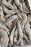 賣魚郎先生青島鹽凍大蝦凈重3.6斤 10-15只/斤 白蝦大蝦基圍蝦生鮮 蝦類 曬單實(shí)拍圖