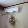 海爾空調(diào)掛機(jī)1.5匹 一級(jí)能效 變頻自清潔 PMV節(jié)能 家用冷暖壁掛式 大風(fēng)量智能防直吹空調(diào) 1.5匹 一級(jí)能效 【新品】智能WIFI 曬單實(shí)拍圖