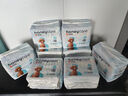 HONEYCARE好命家 狗狗紙尿褲公狗尿不濕尿片安全褲 M適用體重6-10kg/12片裝 曬單實拍圖