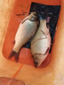 云飛魚升級雙鉛路滑線組浮漂套裝自動找底免調(diào)漂釣魚線主線成品遠(yuǎn)投路亞 100米雙鉛路滑【兩卷盒裝+日夜浮漂】 2.0號 曬單實拍圖