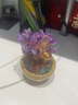 菩境菩境水晶樹擺件水晶碎石diy聚寶盆黃水晶發(fā)財樹水晶盆栽車載擺件 曬單實拍圖