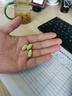 MOSLATE德國進(jìn)口幽門螺旋桿菌益生菌 羅伊氏乳桿菌 口臭腸胃便秘成人 曬單實拍圖
