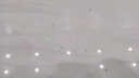 京悠雨狗狗跳蚤噴霧床上家用寵物貓咪身上除蜱蟲滅虱子專用藥非 【蜱蟲 跳蚤專用殺蟲劑】【1瓶裝500ml】 曬單實拍圖