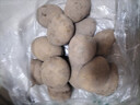 京活生鮮 甘肅定西黃心土豆  高原黃心黃心土豆洋芋高山馬鈴薯沙面 5斤單果70g+ 源頭直發(fā) 曬單實(shí)拍圖