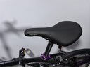 大行（DAHON）P10折疊自行車(chē)20英寸10速鋁合金成人通勤V剎 PAA003 珠光深藍(lán) 曬單實(shí)拍圖