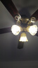 TCL美式風(fēng)扇燈餐廳復(fù)古臥室家用客廳歐式電風(fēng)扇吊燈多頭吊扇燈 木葉42寸-變頻6檔-暖光-雙控 曬單實拍圖