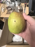 河北酥潤香梨 鮮香皮薄 時令水果 產(chǎn)地直發(fā) 整箱包郵 凈重8斤 單果120g+ 曬單實拍圖