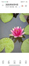 蘭亭玻尿酸補(bǔ)水修護(hù)精華液抗皺保濕提亮膚色舒緩修護(hù)彈潤220mlx2瓶 曬單實(shí)拍圖
