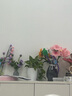 雙盟綠蘿盆栽除甲醛花卉綠植辦公新房凈化空氣180龍蛋光面4盆源頭直發(fā) 曬單實拍圖