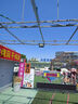 騰達(dá)（Tenda）智能網(wǎng)卡免驅(qū)動 USB無線網(wǎng)卡WiFi6 天線增益 臺式機(jī)筆記本電腦無線wifi接收器發(fā)射器 【U10】650M雙頻免驅(qū)6dBi天線 曬單實(shí)拍圖
