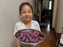京鍇摘果神器伸縮桿高空摘楊梅芒果枇杷杏棗摘桃子李子水果采摘器7米 曬單實拍圖