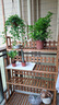 華觀家居（Home Giving Furniture）陽(yáng)臺(tái)花架客廳室內(nèi)落地式實(shí)木多層置物防腐木多肉吊籃花架子可移動(dòng) 吊籃款四層102 帶輪款 可移動(dòng) 曬單實(shí)拍圖