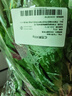 紅莧菜300g 曬單實(shí)拍圖
