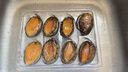 灃運正宗連江鮑魚(yú)大個(gè)海捕新鮮冷凍加熱即食原殼帶肚鮑魚(yú)41-50g/只 340g【不含冰整鮑約7CM共8只】 曬單實(shí)拍圖