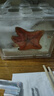 海星寵物海水魚(yú)缸迷你海洋生物觀(guān)賞動(dòng)物翻砂小海星 一只海星（5cm左右） 曬單實(shí)拍圖