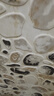 名發(fā)軒美發(fā)頭模型理發(fā)店學(xué)徒練習(xí)剪發(fā)假人頭模新娘造型可燙卷公仔模特頭 優(yōu)B無(wú)妝金 黃色系 60cm 編發(fā)盤發(fā)用 小支架+大禮包 曬單實(shí)拍圖
