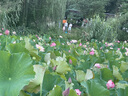 完美日記茶萃波光名片唇釉303暖陽(yáng)柑橘水潤(rùn)保濕鏡面口紅七夕情人節(jié)禮物 曬單實(shí)拍圖