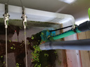 奈寵（NaiChong）魚(yú)缸潛水泵換水抽水泵底吸泵龜缸低水位低噪超小型養(yǎng)魚(yú)循環(huán)過(guò)濾泵 18W【底吸升級(jí)款】+1.5米牛筋管 曬單實(shí)拍圖