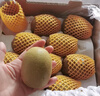 佳沛（zespri）新西蘭  陽光金奇異果10粒禮盒巨大果單果約144-175g 水果 獼猴桃 曬單實拍圖