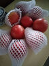 新鮮沙瓤西紅柿自然成熟老品種現(xiàn)摘現(xiàn)發(fā)番茄下蔬菜生鮮減肥 新鮮西紅柿 3斤 凈重 曬單實拍圖