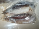 微山湖野生鯽魚土漁民捕撈活魚現(xiàn)殺凈膛滋補(bǔ)燉湯400g/袋 大號(hào)【2-3條/400g】400g*3袋 曬單實(shí)拍圖