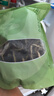 鮮窩窩 海茸絲120g 海茸干海筍干海菜冰筍海龍筋 涼拌菜海鮮素食 曬單實拍圖