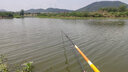 楊巨物草青顆粒釣魚餌料魚食窩料打窩料野釣青魚草魚 草青顆粒1420g 曬單實拍圖