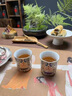 愛奢爾醫(yī)師節(jié)禮物伴手禮商務禮品圍爐煮茶喬遷故宮茶具整套裝退伍紀念品 父親生日禮物男士中國風文創(chuàng)茶具整套茶杯禮盒8件套 醫(yī)院醫(yī)護人員禮品公司周年慶定制送客戶員工活動隨手禮 曬單實拍圖