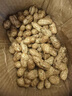 博多客2025新鮮花生 現(xiàn)挖帶泥濕花生 順豐速運(yùn) 帶殼生花生 可水煮花生 現(xiàn)挖現(xiàn)發(fā)3斤裝 曬單實(shí)拍圖