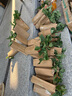 一串紅花苗盆栽地栽室內(nèi)外庭院花卉綠化工程草花苗帶花發(fā)貨串串紅 一串紅50盆【原盆土帶花發(fā)貨】 曬單實拍圖