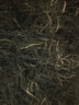 一古茶堂冰島生普洱茶生茶十年以上云南古樹散茶葉自己喝禮盒裝送禮500g 曬單實拍圖