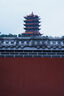 PGYTECH相機(jī)肩帶Air蒲公英相機(jī)背帶快拆微單反快裝板相機(jī)斜跨帶適用索尼佳能富士XT30尼康Z5相機(jī)配件掛繩 謐夜黑（調(diào)節(jié)長度100-140cm) 曬單實拍圖
